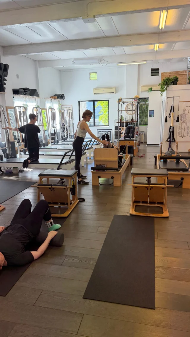 Four people, four programs — considered movement